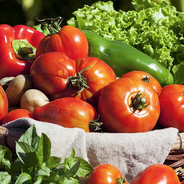Alimentos y huertos