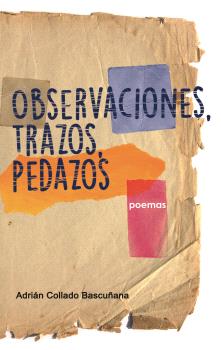 Observaciones, trazos, pedazos : poemas