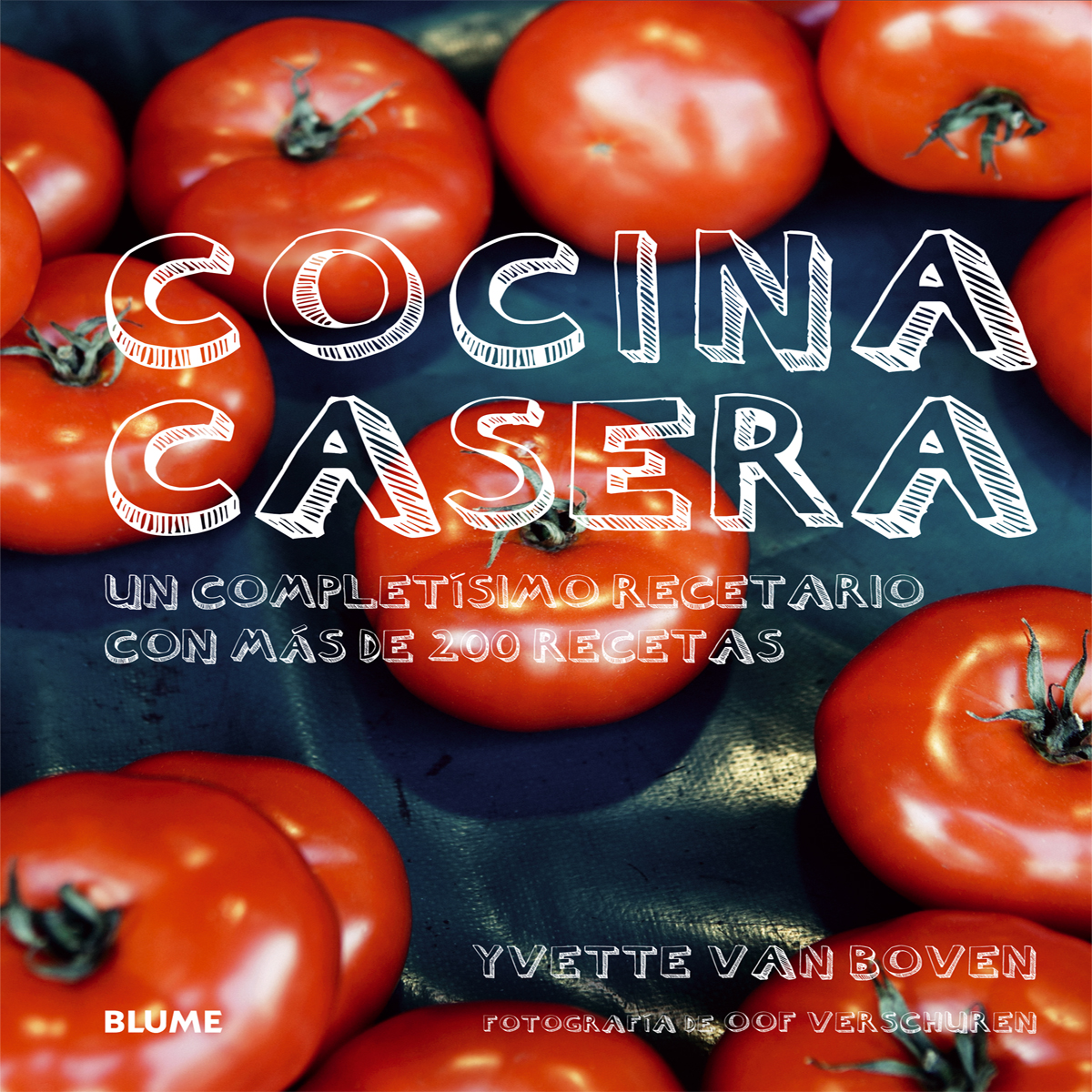 Cocina casera : Un completísimo recetario con más de 200 recetas