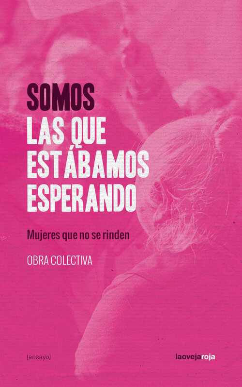 Somos las que estábamos esperando : Mujeres que no se rinden