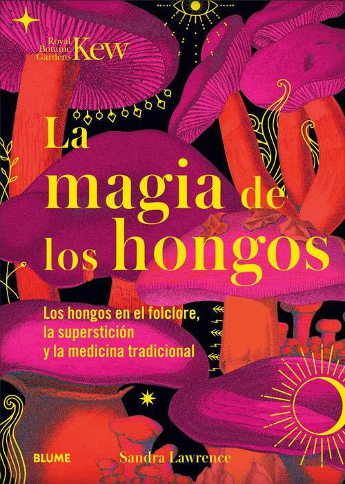 Magia de los hongos