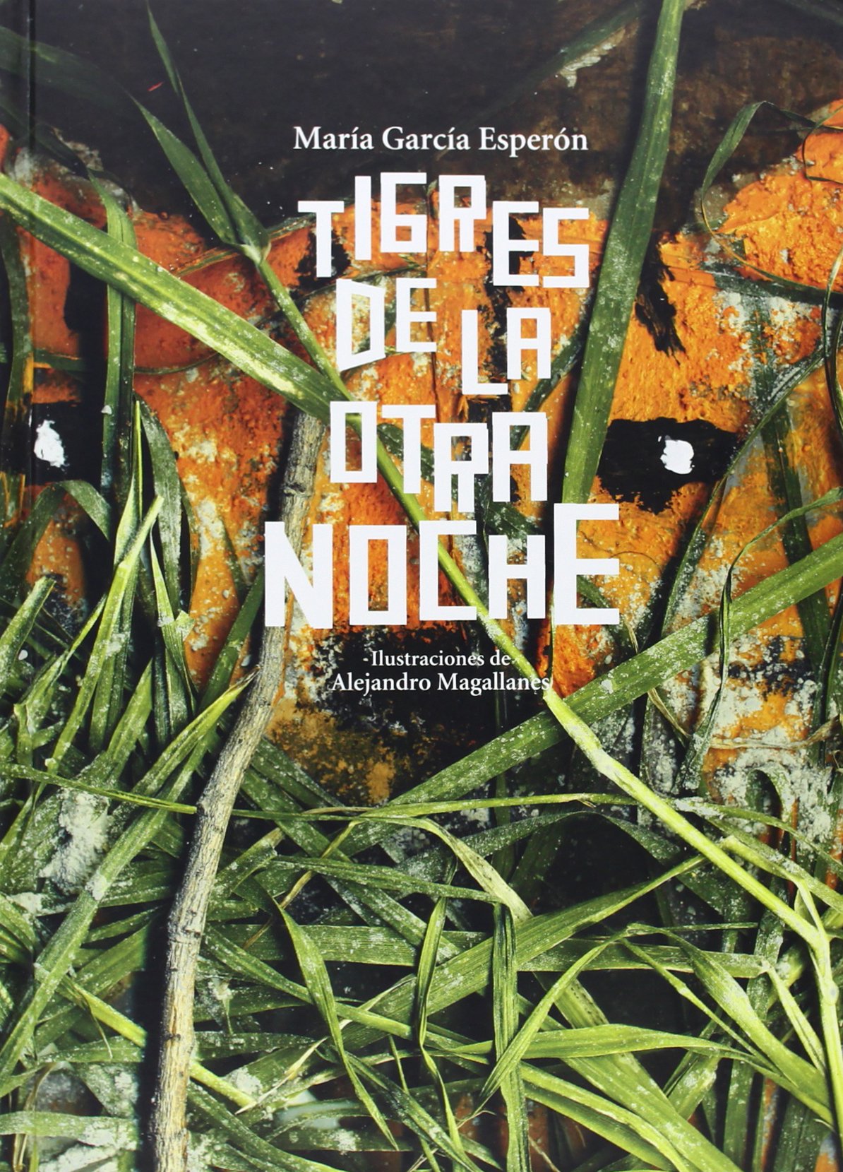 TIGRES DE LA OTRA NOCHE : PREMIO HISPANOAMERICANO DE POESÍA PARA NIÑOS 2005