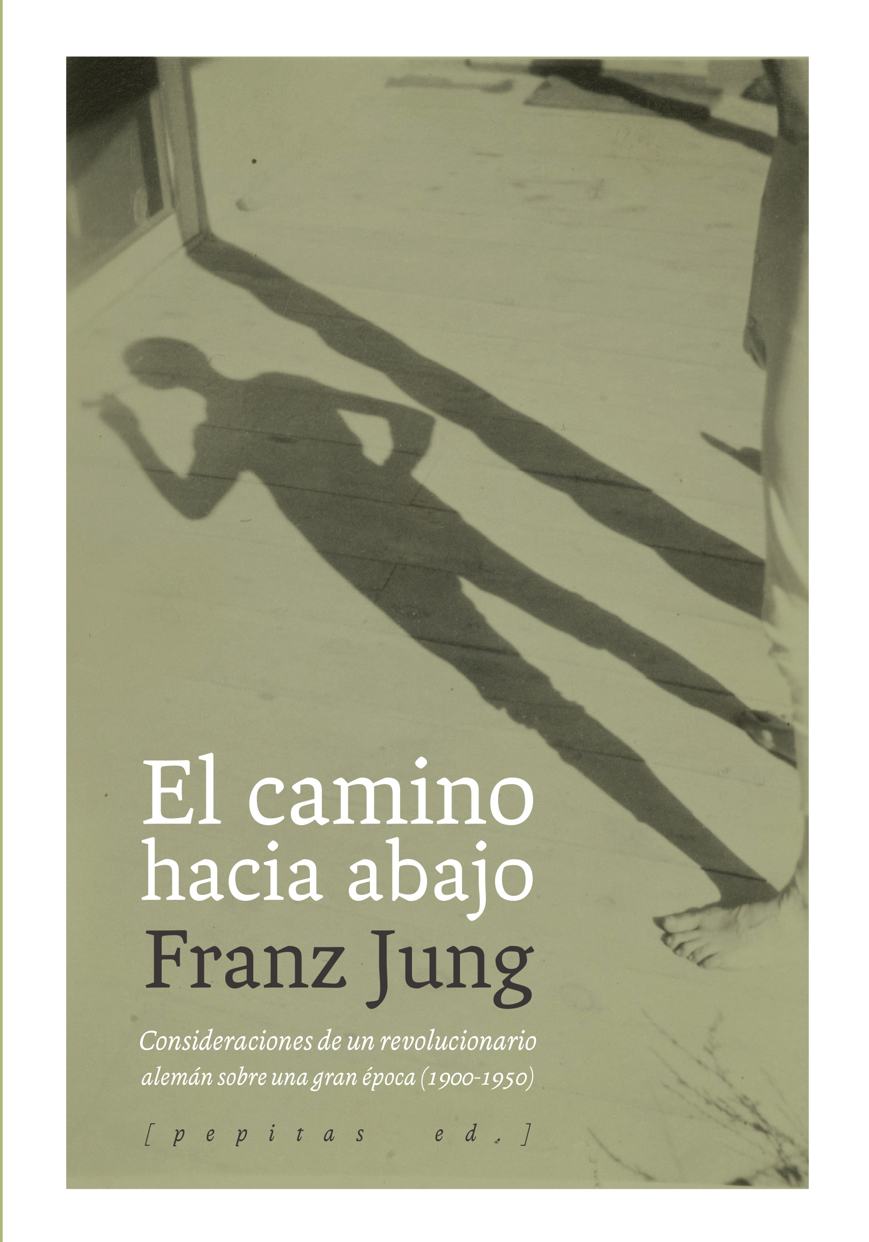 El camino hacia abajo : Consideraciones de un revolucionario alemán sobre una gran época (1900-1950)