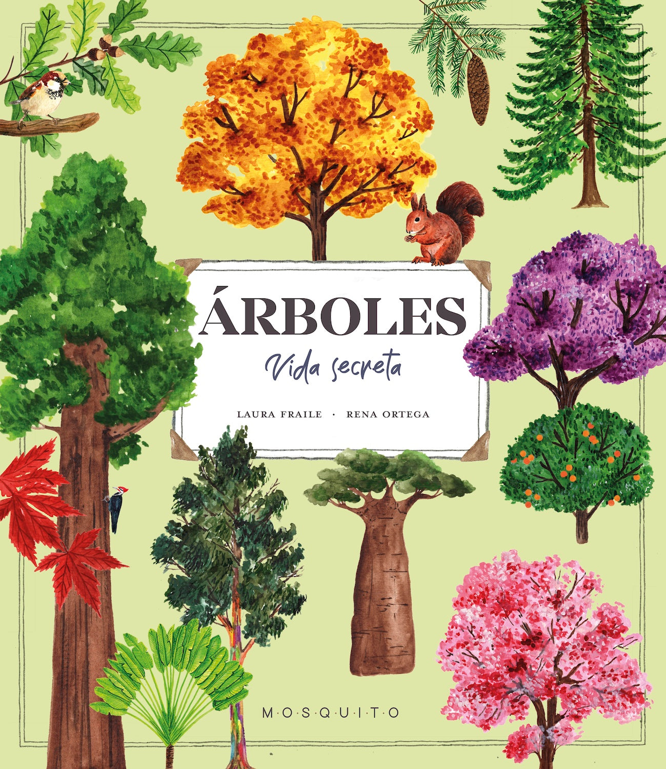 Árboles. Vida secreta