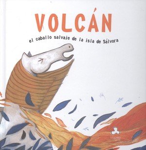 Volcán, el caballo salvaje de la Isla de Sálvora